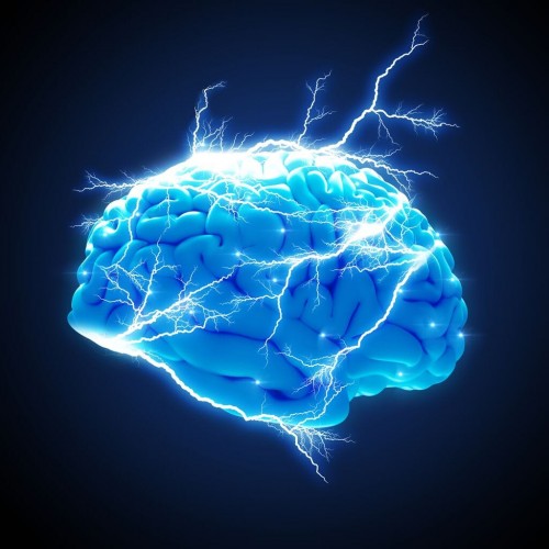 Master The Body electric brain