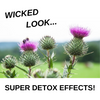 Milk Thistle - Wicked Look, Super Detox Effects!