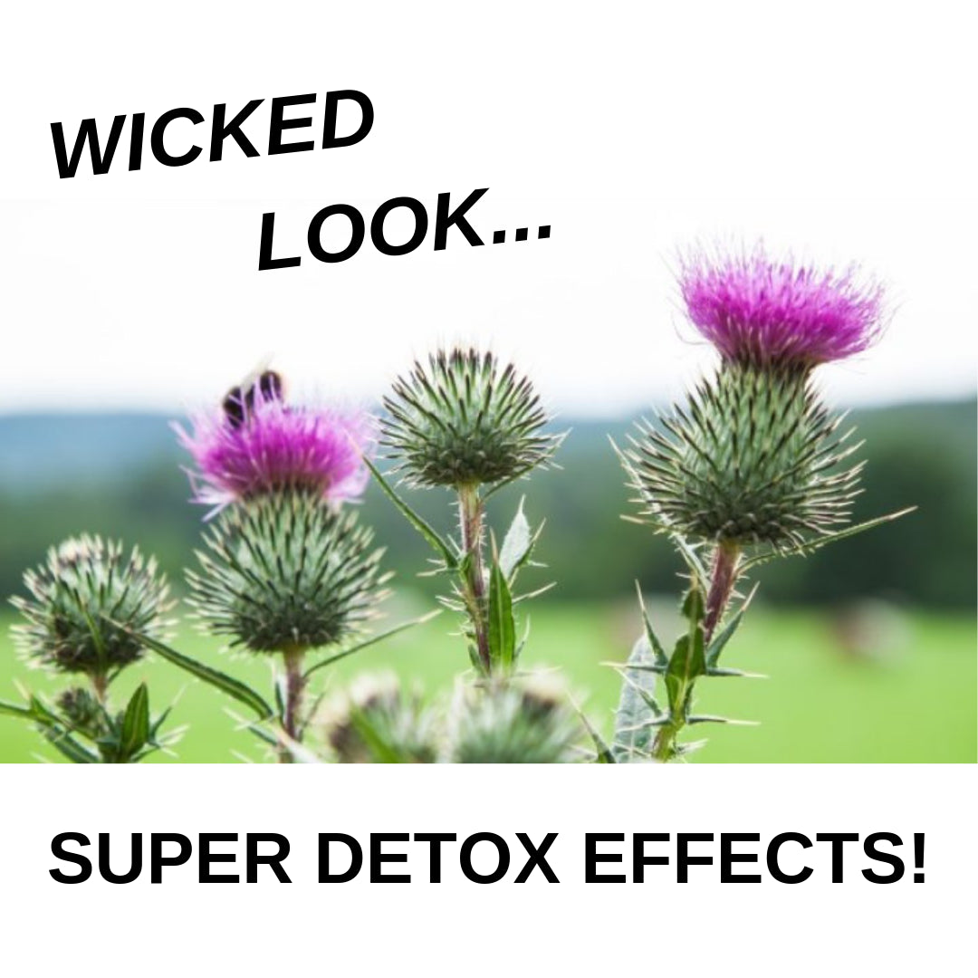 Milk Thistle - Wicked Look, Super Detox Effects!