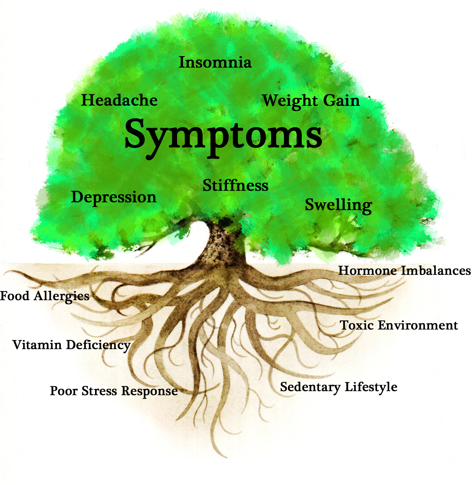Comprehensive Case Study & Personalized Blueprint to Healthier, Happier, Stronger You