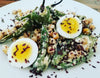 Breakfast Of Champions Charged With Power Proteins And Zest!