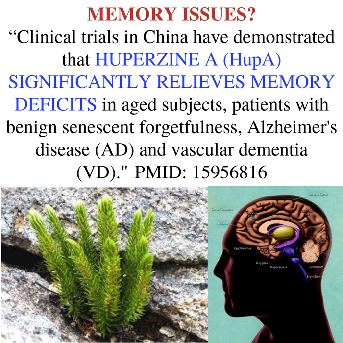 Can This Novel Plant Protect Your Brain From Aging Damage and Trauma?