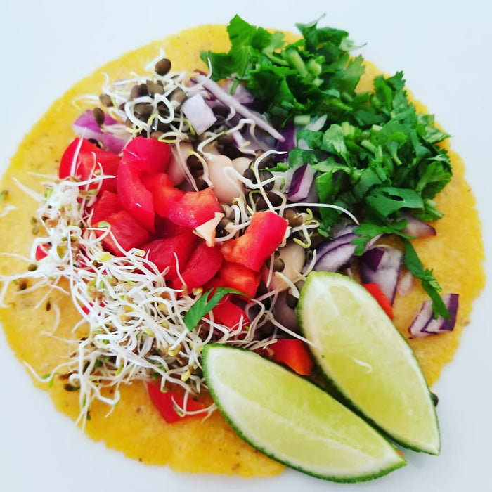 Homemade Tacos are the BEST! VEGAN RECIPE
