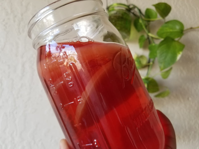 How to Make Your Own Kombucha!