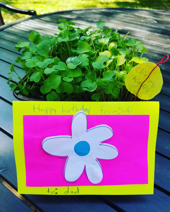 BIRTHDAY MICROGREENS! How about that?