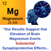 The Mineral That Could Save Your Mind!