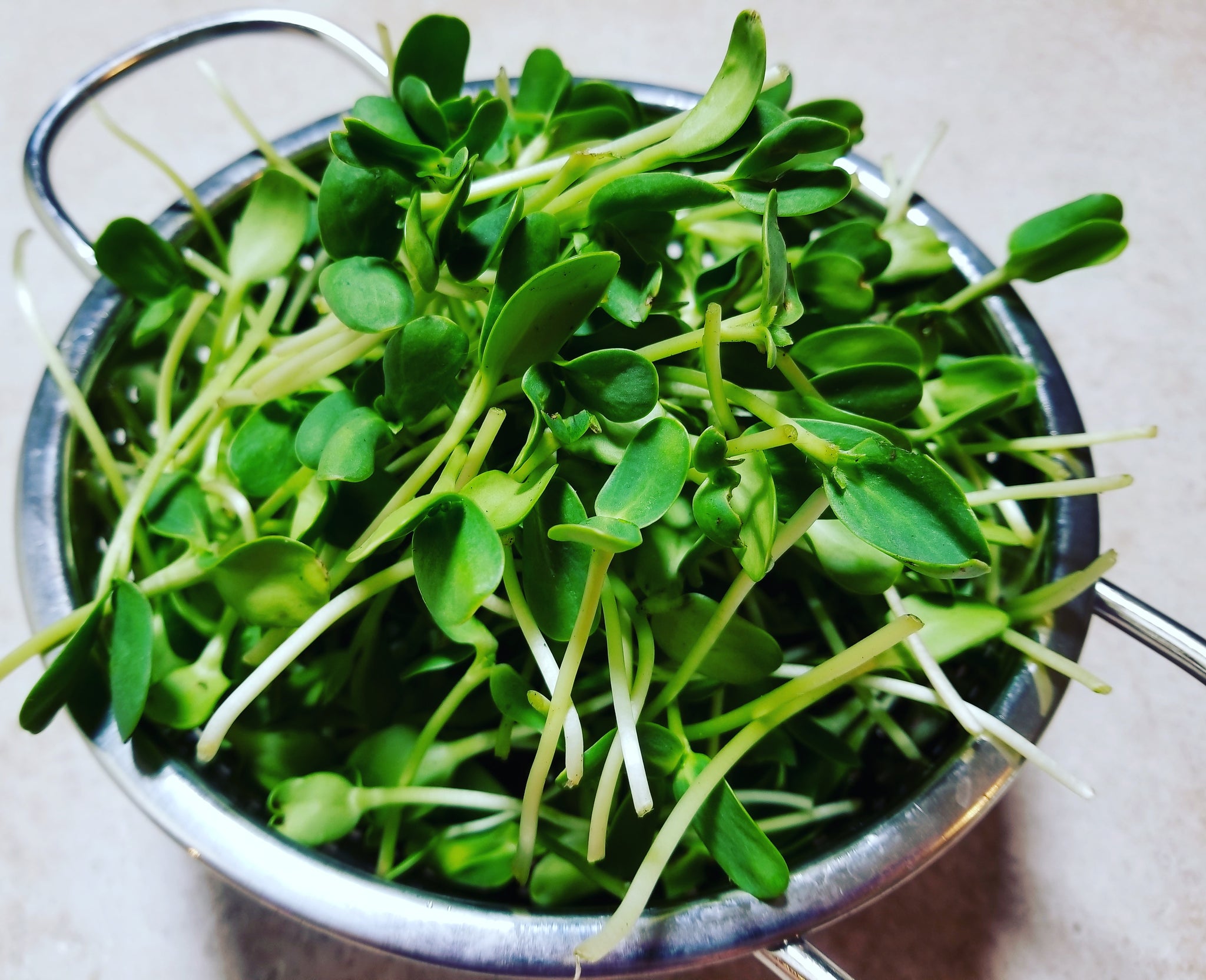 Invite New Greens Into Your Diet!