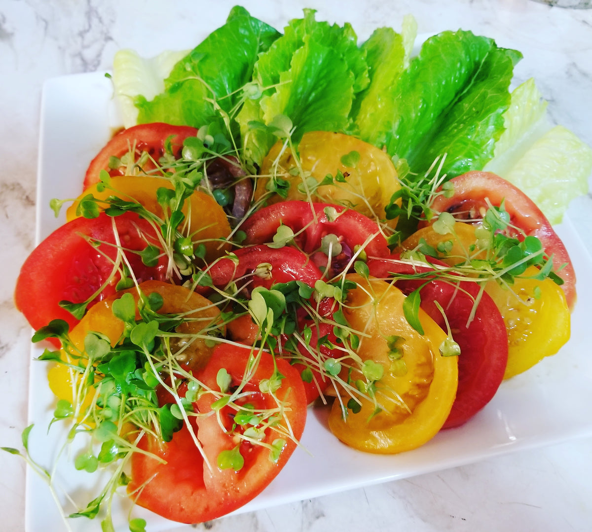Arugula Microgreens and Tomato Medley!