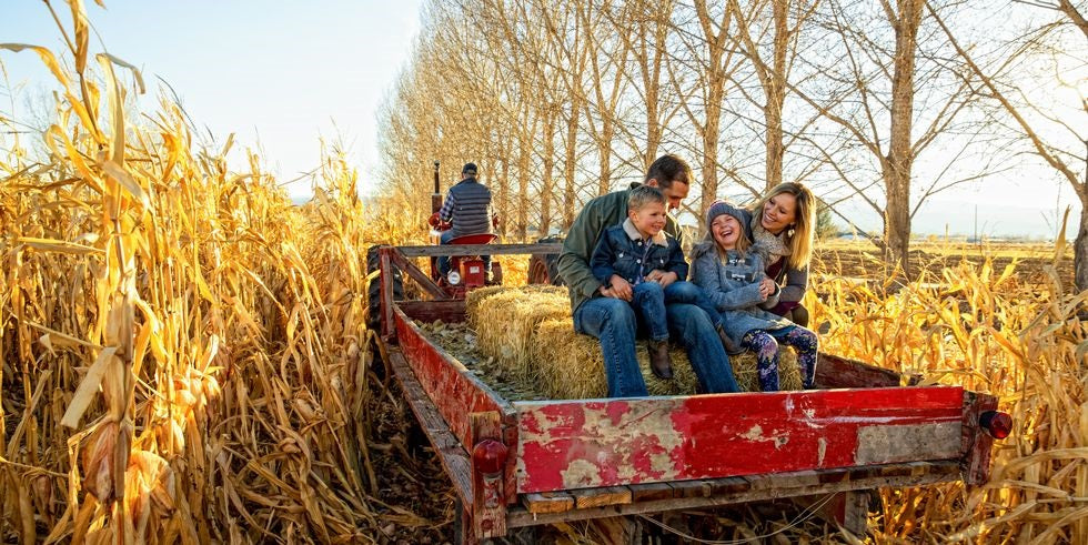 Stay Strong For Fall And Winter