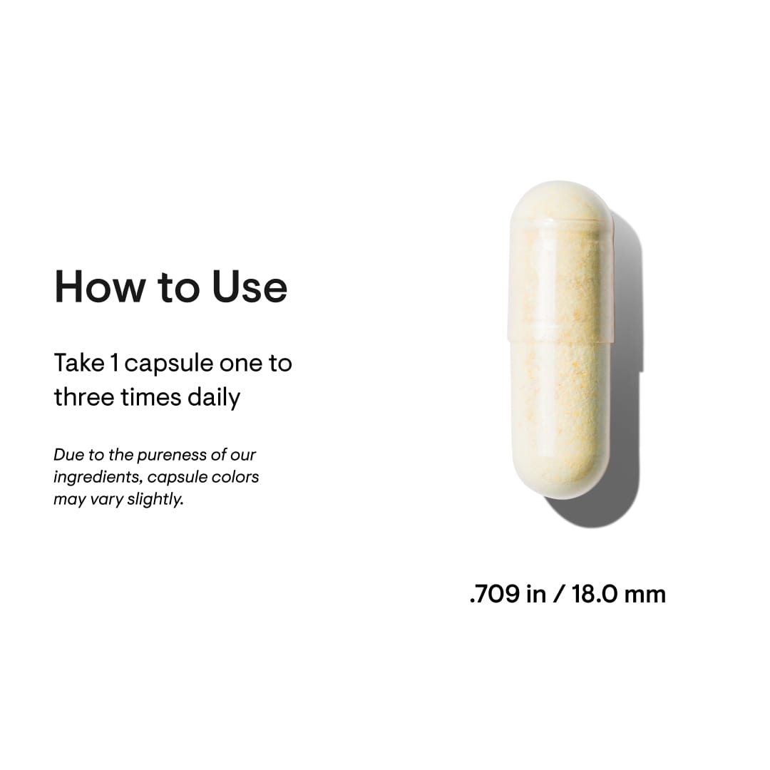 Adrenal Cortex - Thorne