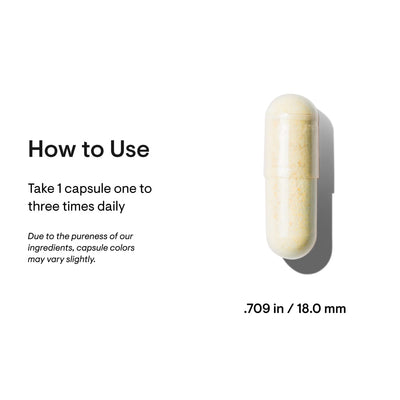 Adrenal Cortex - Thorne